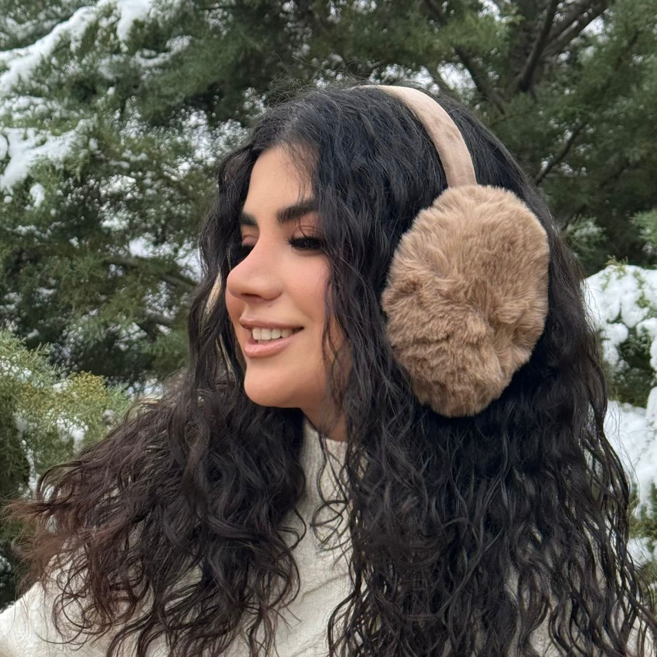 نمای دیگر از گوشگیر وارداتی