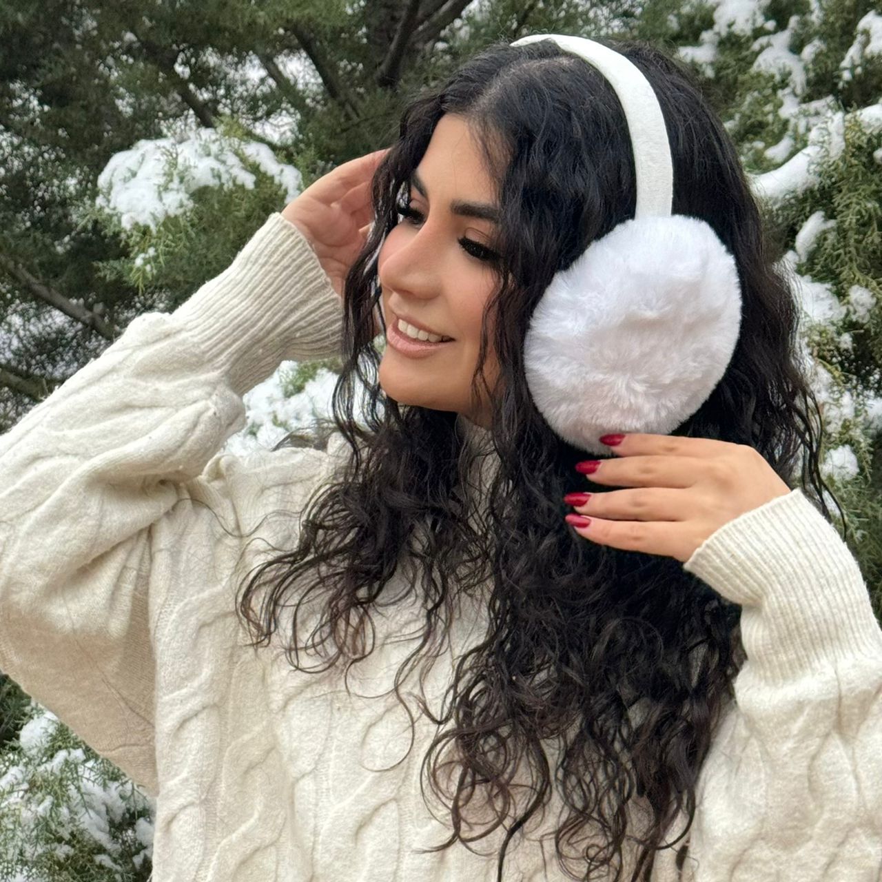 نمای دیگر از گوشگیر وارداتی